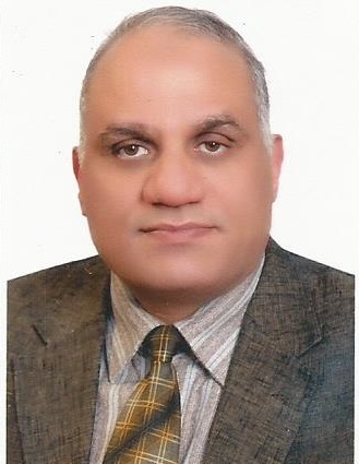 Prof. Dr. Mohamed Fawzi Kotb