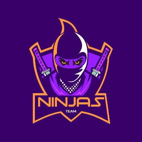Ninja Team